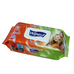 WIPEST ΜΩΡΟΜΑΝΤΗΛΑ 72PCS HYGIENE (ΜΕ ΚΑΠΑΚΙ) WIPEST ΜΩΡΟΜΑΝΤΗΛΑ 72PCS HYGIENE (ΜΕ ΚΑΠΑΚΙ)