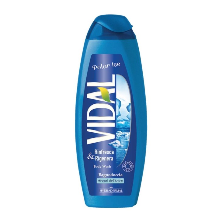 VIDAL ΑΦΡΟΛΟΥΤΡΟ 500ml POLAR ICE (ΜΠΛΕ) VIDAL ΑΦΡΟΛΟΥΤΡΟ 500ml POLAR ICE (ΜΠΛΕ)